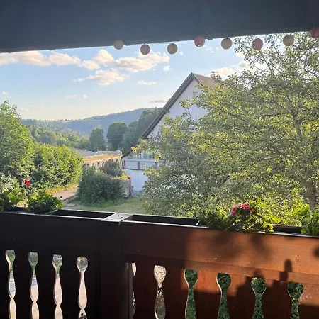 Apartment Schmidt - Wipfelblick - Voll Ausgestattetes Loft Häusern